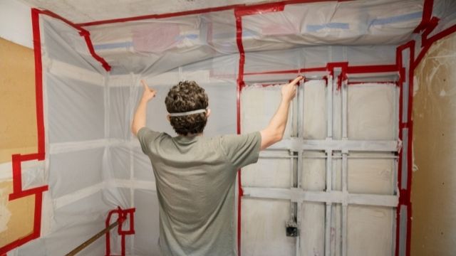 professionals for mold remediation